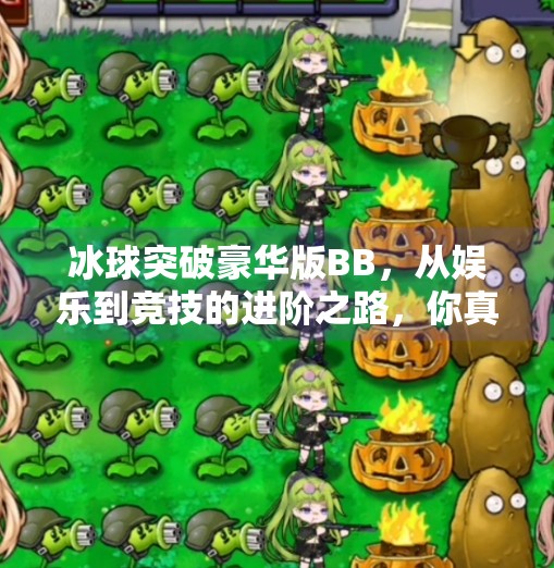 冰球突破豪华版BB,从娱乐到竞技的进阶之路,你真的了解它吗?冰球突破豪华版bb